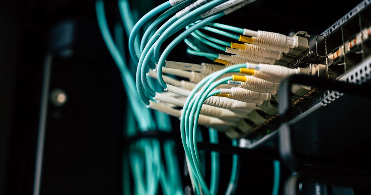 Fibre-optic network cables connected to equipment in a server rack.