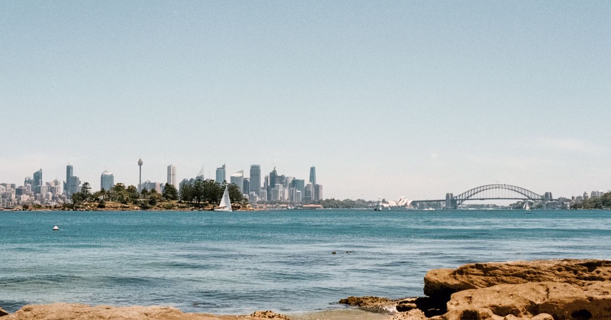 Sydney Harbour, with the city skyline and Harbour Bridge across the water.